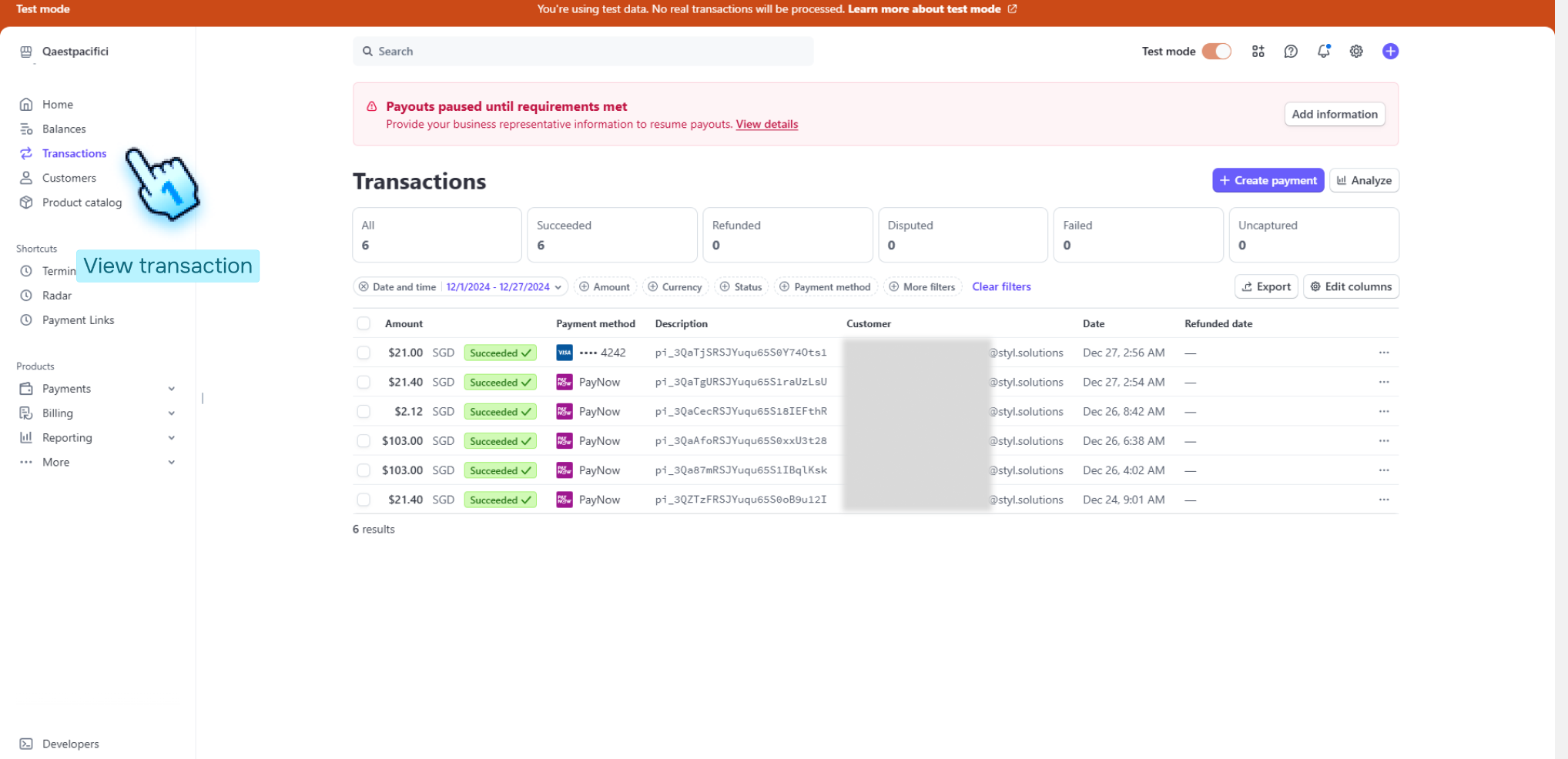 View payment transaction in Stripe